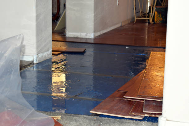 Professional Basement Flood Cleanup technician working in Pursglove, WV